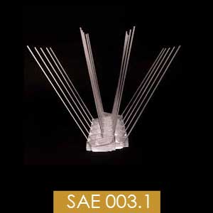 Cladirile importante au nevoie de protectie impotriva pasarilor